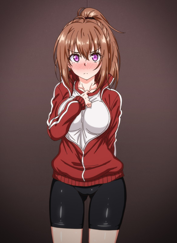 c1338383sample12.png